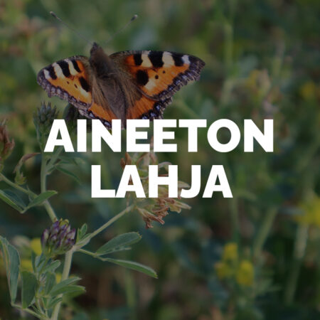 Aineeton lahja: Taimi tulevaisuudelle
